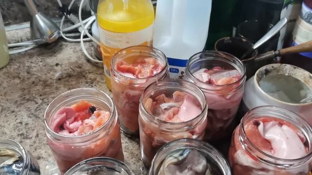 Готовим консервы из горбуши и скумбрии в автоклаве на пару. смотреть онлайн