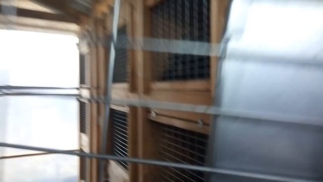 Табличка кроликовода для записи когда родились когда крестились кролики. смотреть онлайн