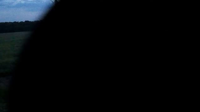 Косуля в оптическом прицеле. смотреть онлайн