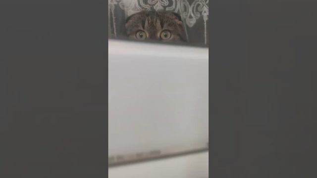 мтс не работает, мобильная связь не доступна, смотреть онлайн