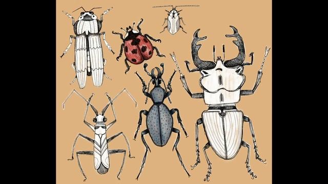 Create seamless patterns: from sketching to surface pattern design. От наброска до паттерна смотреть онлайн