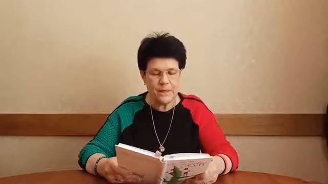 Вера Мир 1часть АПЕЛЬСИНОВЫЙ СУП Читает автор  Женское и мужское