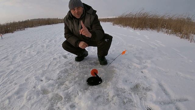 ЖЕРЛИЦЫ 2020! ЗАГАРЫ один за одним! ДИКИЕ места радуют. ЖЕСТЬ! ЩУКА ВЦЕПИЛАСЬ в руку!!! ЩУКА видео смотреть онлайн