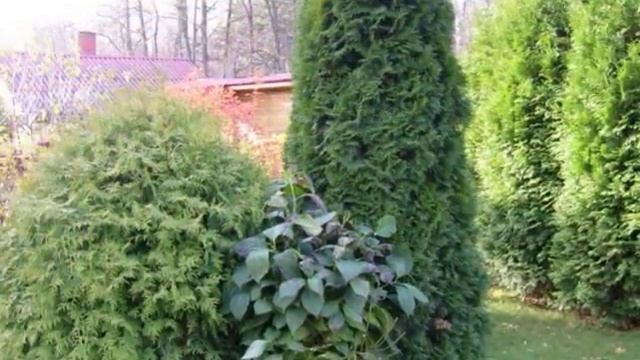 Декоративные изделия из дерева смотреть онлайн