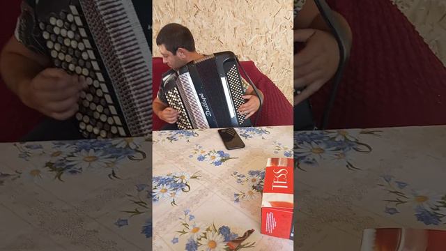 мой брат золотой играет на баяне 2 смотреть онлайн