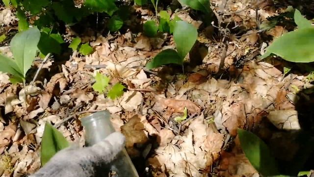 Копаем по краю поля и леса смотреть онлайн