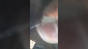 Где находиться разгрузочное реле ваз 2114 которое включает печку омыватель и задни обогрев