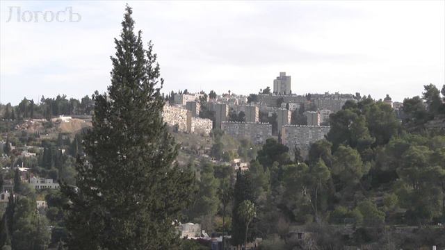 Слово Архипастыря: Никогда не поздно учиться смотреть онлайн