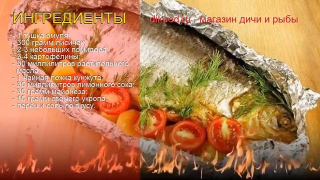 Мир Морских Зверей