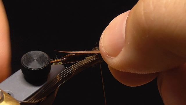 Нимфа Веснянки / Stonefly Nymph