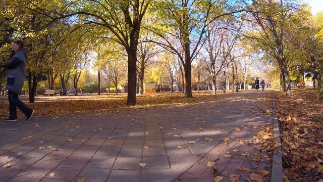 2K Ростов-на-Дону. ЗОЛОТАЯ ОСЕНЬ! смотреть онлайн