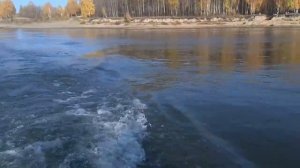 "Бирюса-305" и Tohatsu 3,5 против течения 6,5 км/ч.