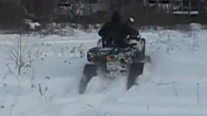 Стелс 500 H гуси