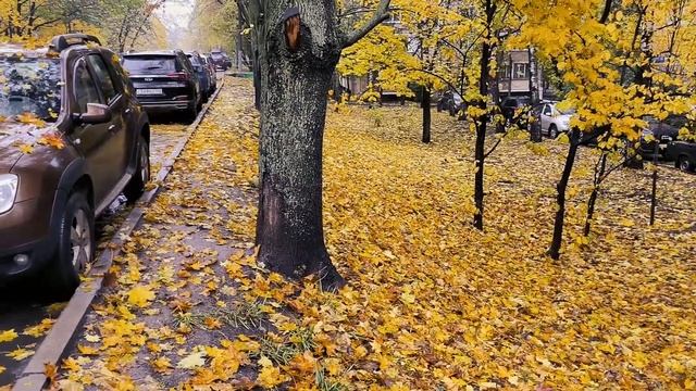 Кузовные запчасти, на Рено сандеро,нашёл сервис. смотреть онлайн