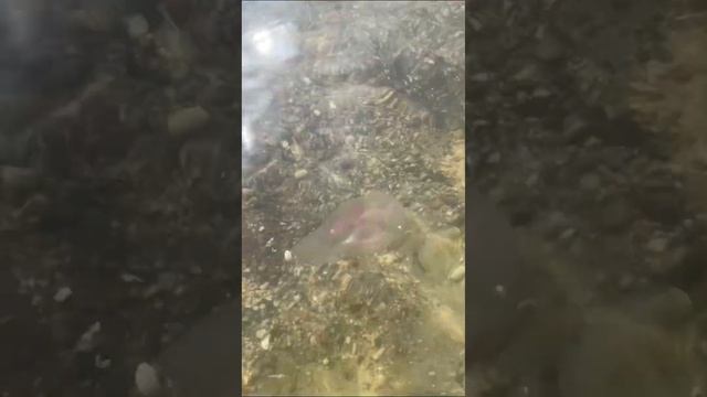 Песни-молитвы /// Ильям Юсупов смотреть онлайн