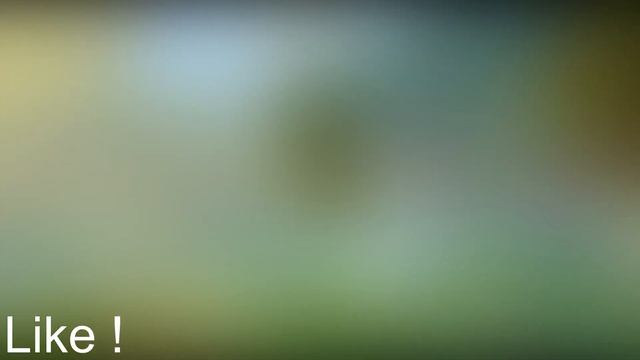 Tropical Music ??️ Relaxing Tropical Islands ??️ Meditation Music