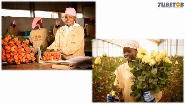 Летний букет. Мастер-класс по флористике Ольги Шаровой и компании 7ЦВЕТОВ. смотреть онлайн