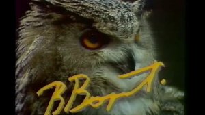 Заставка «Что Где Когда» (1994 год)