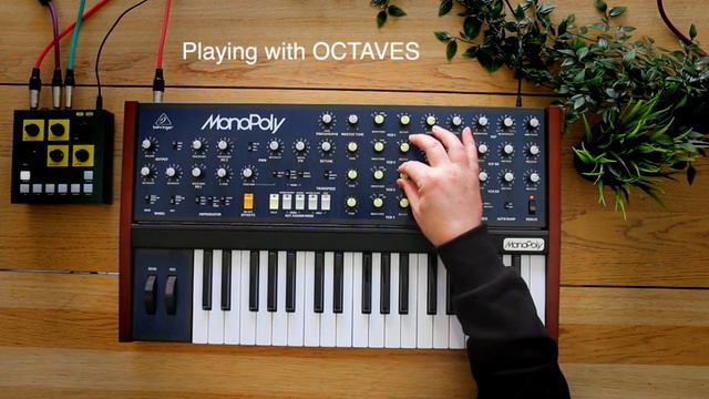 Behringer MonoPoly: No Talking Modular Style Sounds Demo