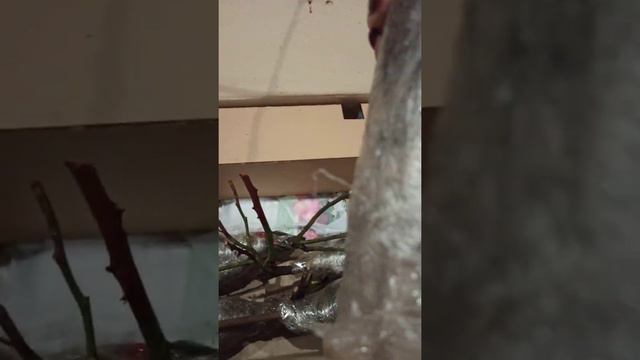 Отзыв Агромаркет смотреть онлайн