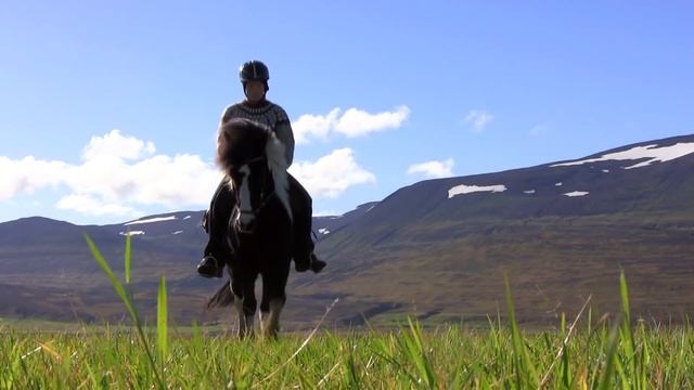 De Magie Van Het Betoverende IJsland - Met Suzanne