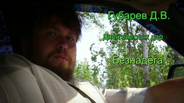 Губарев Д.В. - Безнадёга смотреть онлайн