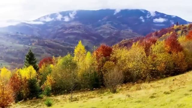 Украинцы - это тюрки, а не славяне смотреть онлайн