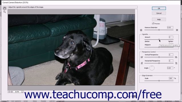 Photoshop Elements 2018 Tutorial Correcting Camera Distortions Adobe Training