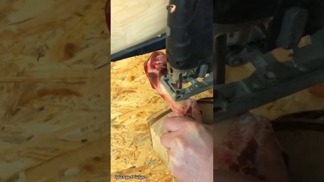 Пилим лобзиком кость кабана #лобзик #какраспилитькость #кабанчик