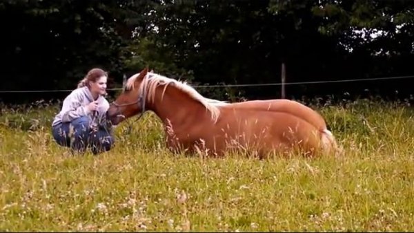 "C'est le temps que tu as perdu pour ta rose qui rend ta rose si importante".