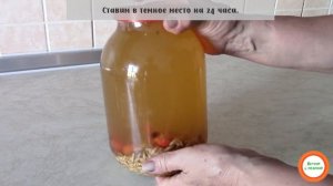 Напиток для очистки печени! из овса и шиповника