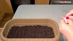 Посев семян ТОМАТОВ. Всё подробно и пошагово.