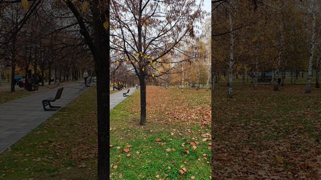 Дюссельдорфский парк г.Москва смотреть онлайн