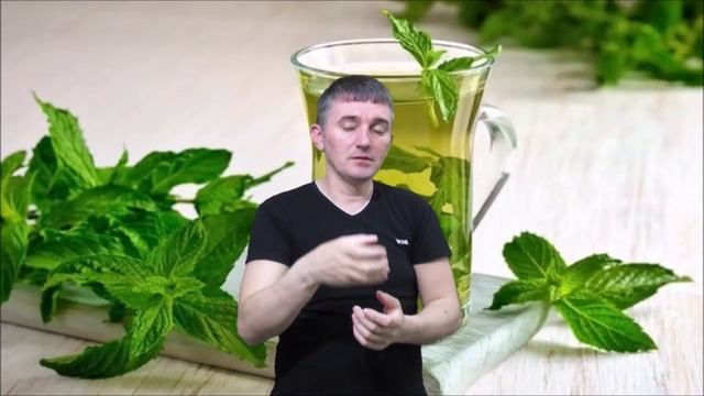 DEAF полезные и лечебные свойства мята смотреть онлайн