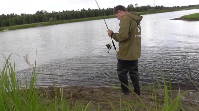Сургут. Рыбалка 10 августа 2019. Самый лучший отдых - рыбалка, Fishing in Russia, Fishing in Siberi смотреть онлайн