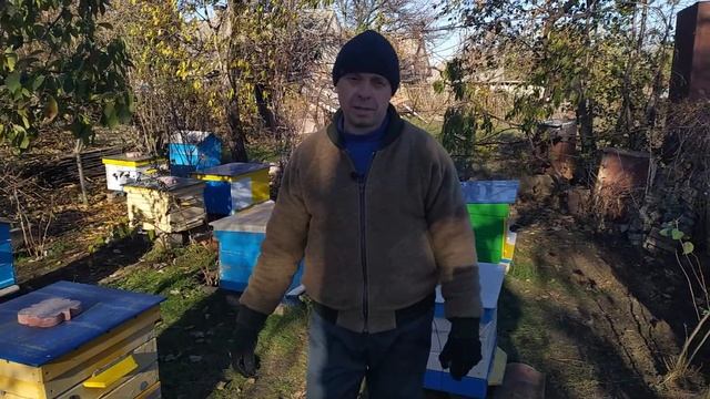 Не беспокоить! Или защита от синиц и не только. смотреть онлайн