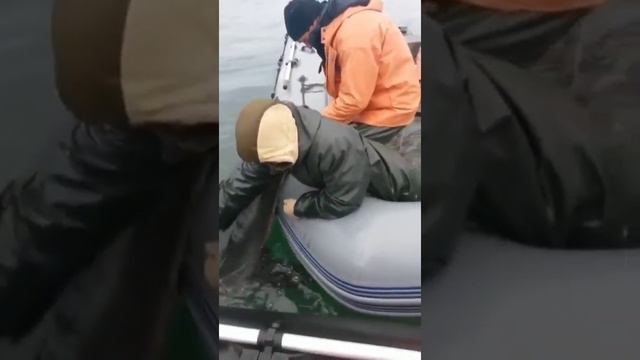 поймали большую рыбу смотреть онлайн