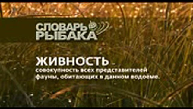 Уроки ловли смотреть онлайн