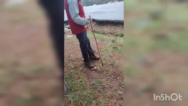 Buscando setas смотреть онлайн