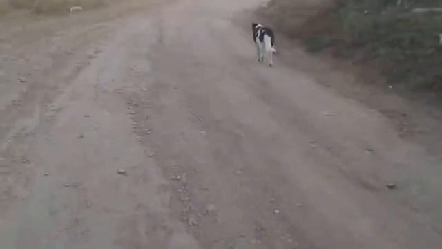 Гуляем. Идём на Рублёвку смотреть онлайн