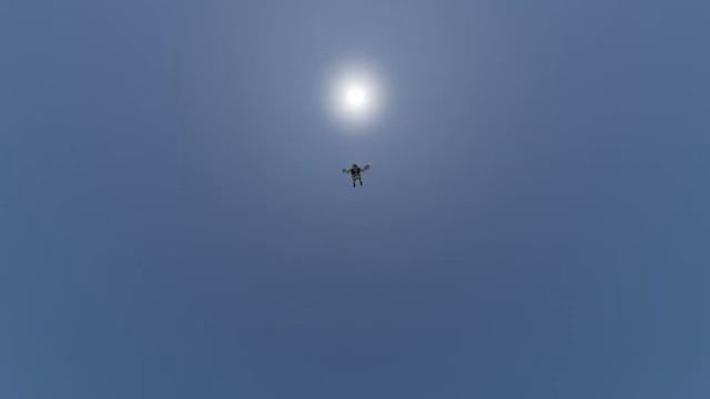 Шрек в туалете