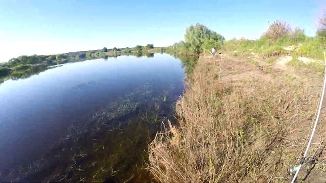 ЛОВЛЯ ЛЕЩА НА р.СОЖ на КОРМУШКИ, поклёвки только на САЛО. смотреть онлайн