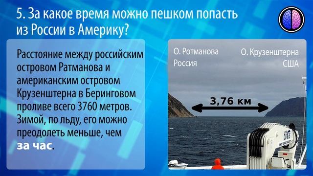 Тест на ЭРУДИЦИЮ, который по зубам только знатокам | Тест на эрудицию #2 смотреть онлайн