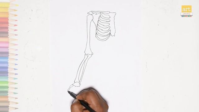 Blank Arm Bone Diagram easy | How to draw Arm Bone Diagram step by step смотреть онлайн