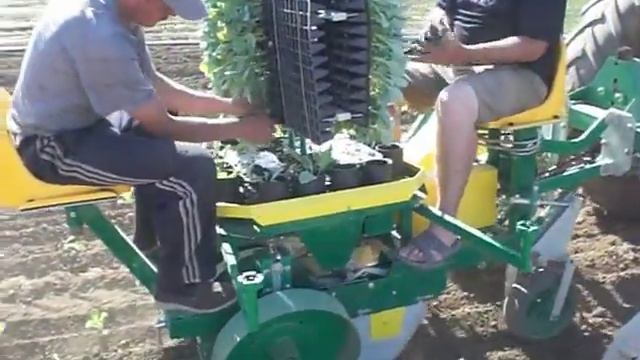 РОСТА 2К Высадка рассадытоматов смотреть онлайн