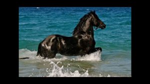 КОНЬ...минус(оригинал) из инета ЛЮБЭ...