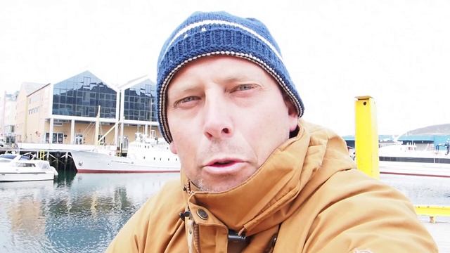 Hvaldimir the friendly Beluga whale in Norway - How did he come to Hammerfest? смотреть онлайн