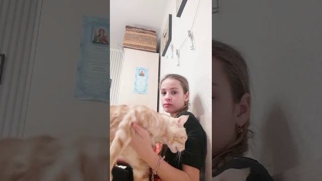 Дресировка смотреть онлайн