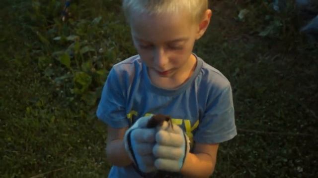 Летучая мышь смотреть онлайн