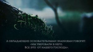 Послушайте успокаивающие чтение Корана